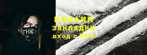 ПСИЛОЦИБИНОВЫЕ ГРИБЫ Гусь-Хрустальный