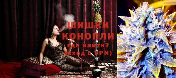 ПСИЛОЦИБИНОВЫЕ ГРИБЫ Гусь-Хрустальный