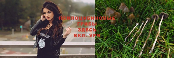 Альфа ПВП Усмань
