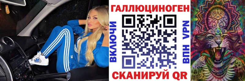 Галлюциногенные грибы Psilocybe  Мценск 